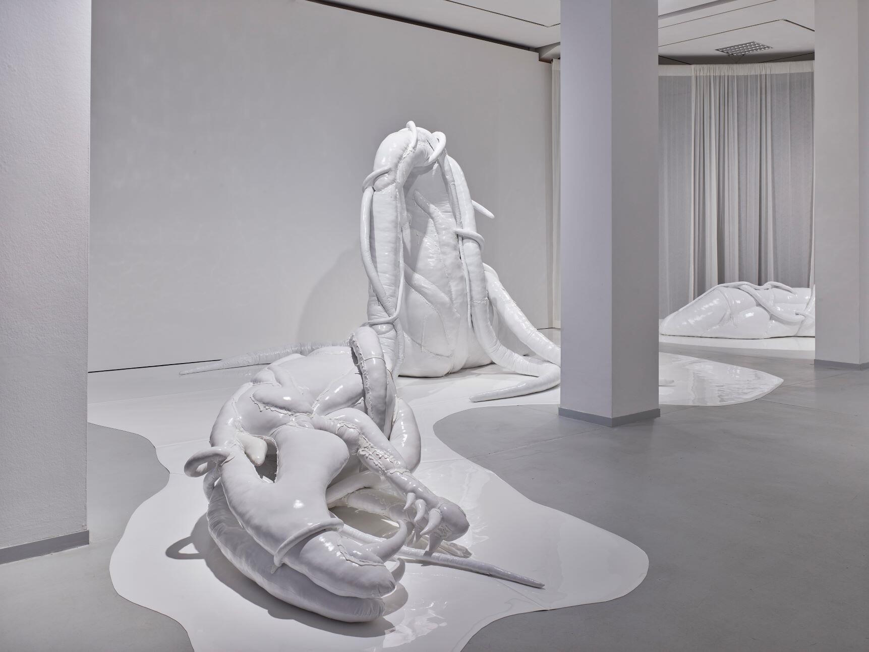 Mary-Audrey Ramirez, Unsolicited Awakening, Ausstellung, Kunstausstellung, Düsseldorf, KAI 10, Arthena Foundation, Installationsansicht, Somebody’s Basilisk, Achim Kukulies