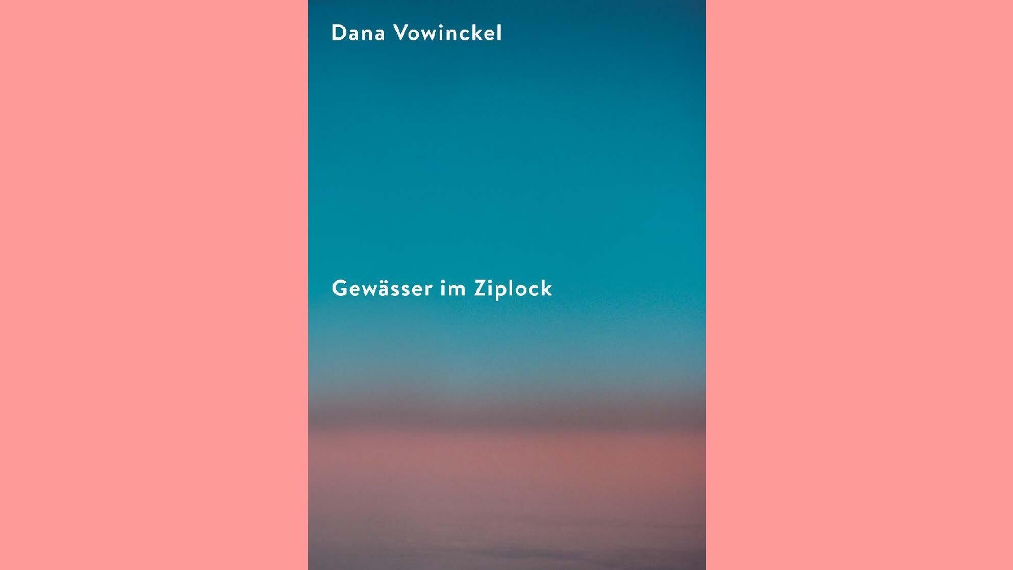 Gewässer im Ziplock, Dana Vowinckel. Suhrkamp Nova, Literatur, Roman