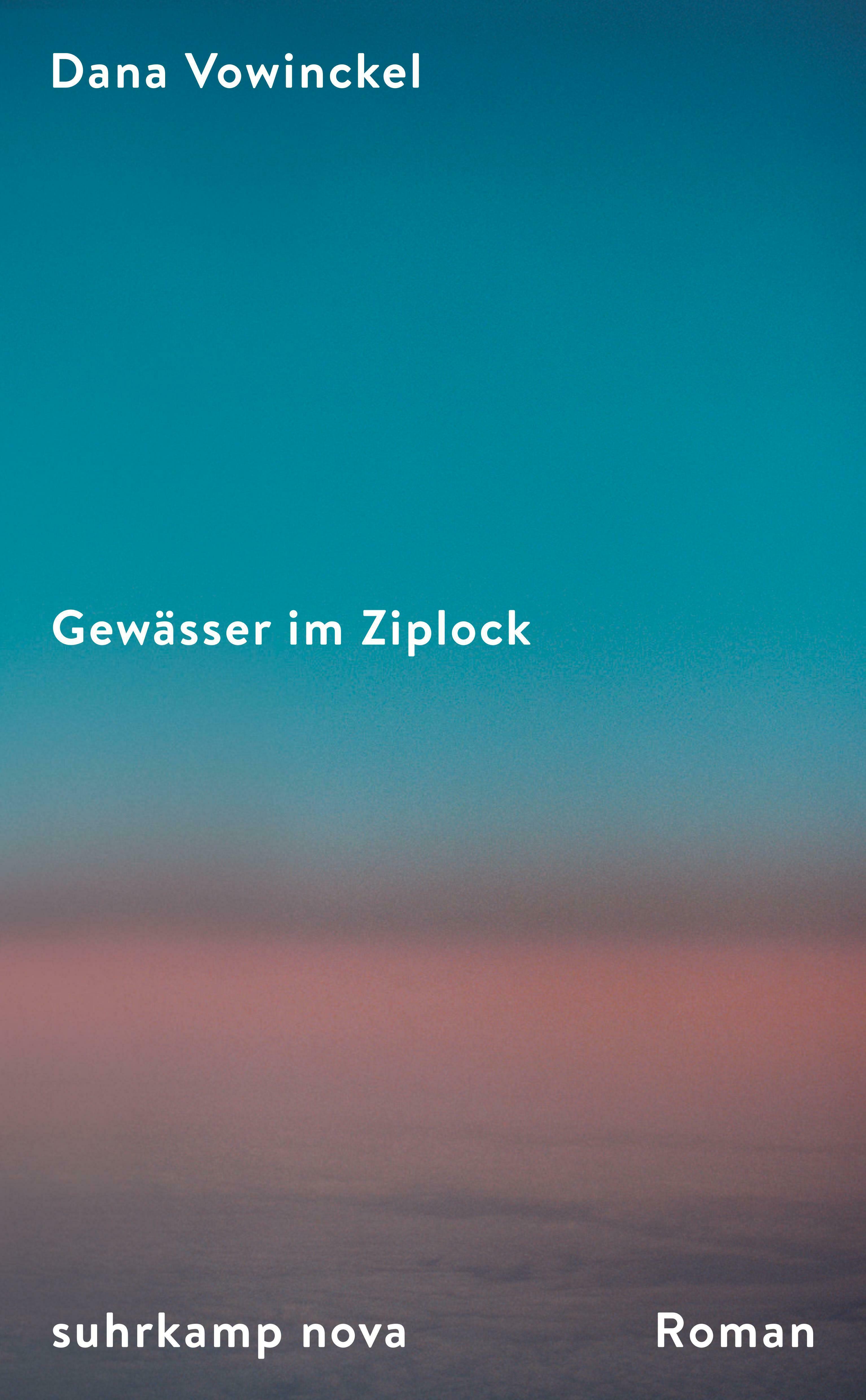 Gewässer im Ziplock, Dana Vowinckel. Suhrkamp Nova, Literatur, Roman